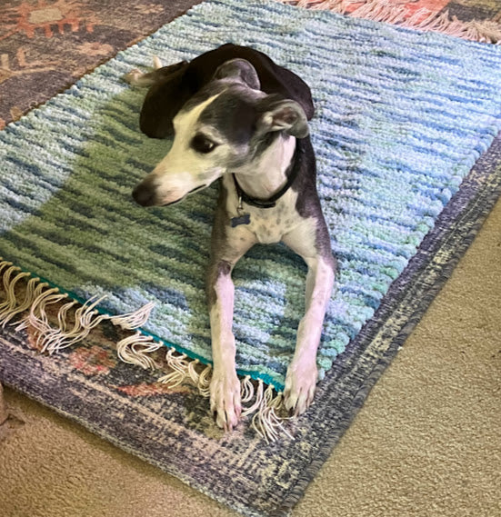 Loom-woven Soft & Fluffy Rug - Large Pet Mat or Bathroom Rug (45" x 38.5")  #49