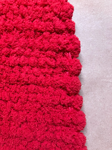 Loom-Woven Soft & Fluffy Rug - Pet Mat or Bathroom Rug (19" x 33.5")  #48